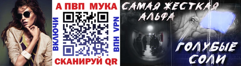 OMG ссылка Новоржев A-PVP СК