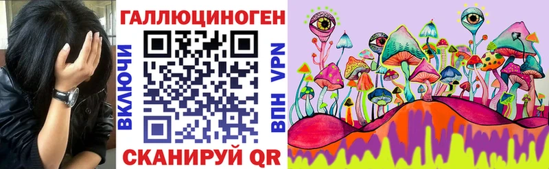 как найти закладки  Новоржев  Псилоцибиновые грибы мицелий 